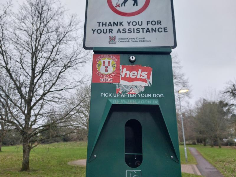 Kildare dog walkers urged to bring bags to dispose of their pet's waste