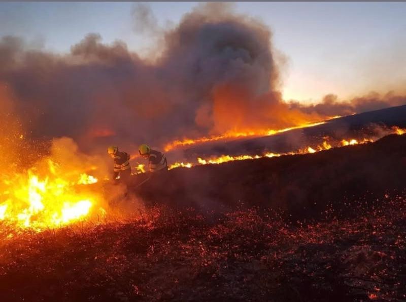 BREAKING: Campers evacuated as forest fire breaks out at Wild Nephin National Park in Mayo