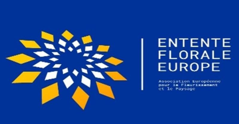 Kildare town to represent Ireland in prestigious Entente Florale Europe Competition