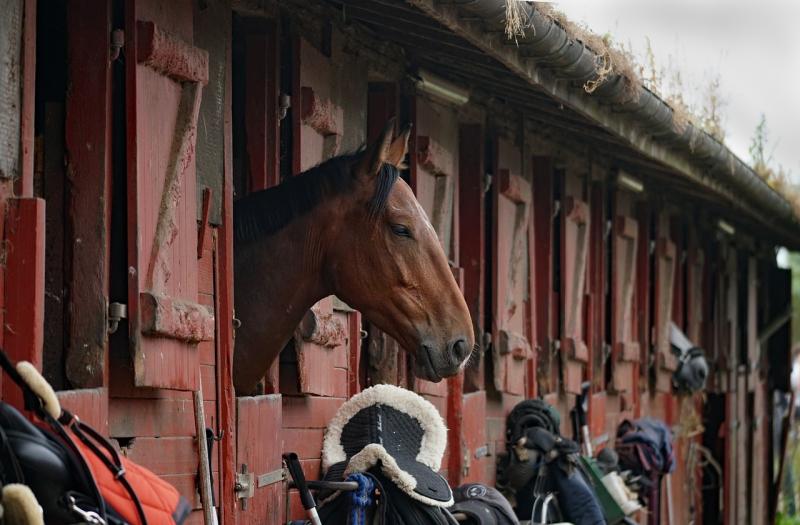 €251k stables planned for The Curragh, Kildare