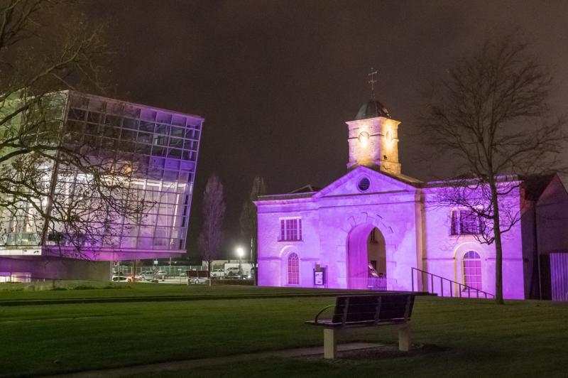 Help is always out there: Kildare County Council light up for Go Purple Day 2025