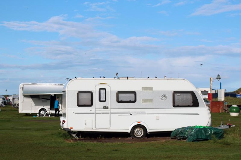 Kildare County Council queried over powers to remove caravans on council-owned land 