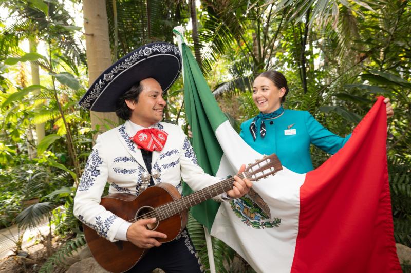Aer Lingus announces new flights to Canc&uacute;n and prices are cheaper than you think