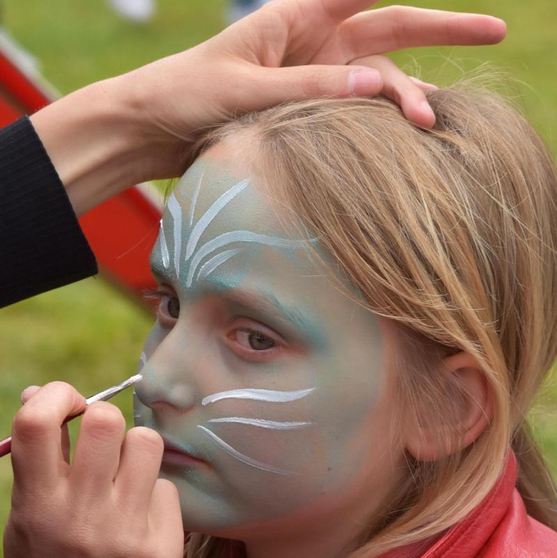 Kildare County Council announces return of Picnic in the Park