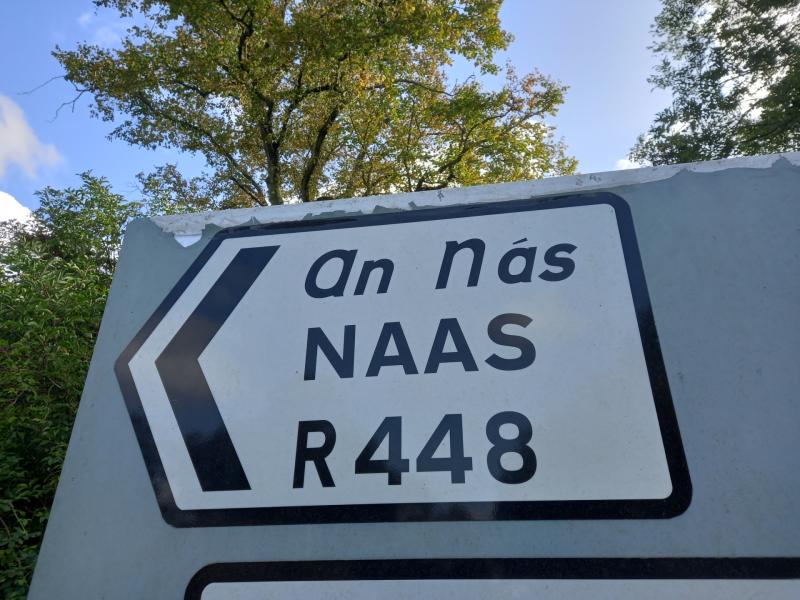 Kildare residents ask council to against speeding motorists
