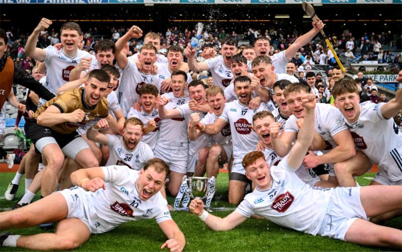 A hurling season for Kildare to love, cherish, and celebrate 
