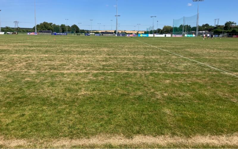 'I've never seen a sliothar bounce like that' - players react to scorched pitch for Kildare SHC