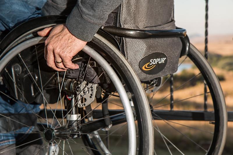 Wheelchair access sought to this Kildare walkway