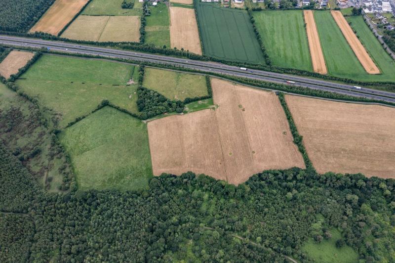 Prime Laois agricultural land to go under the hammer 