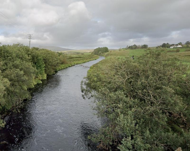 Funding to improve fish stocks in river that rises in Co Kildare 