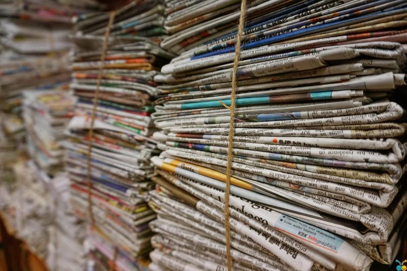Read all about it! Kildare Wildlife Rescue seeks newspaper donations for its patients 