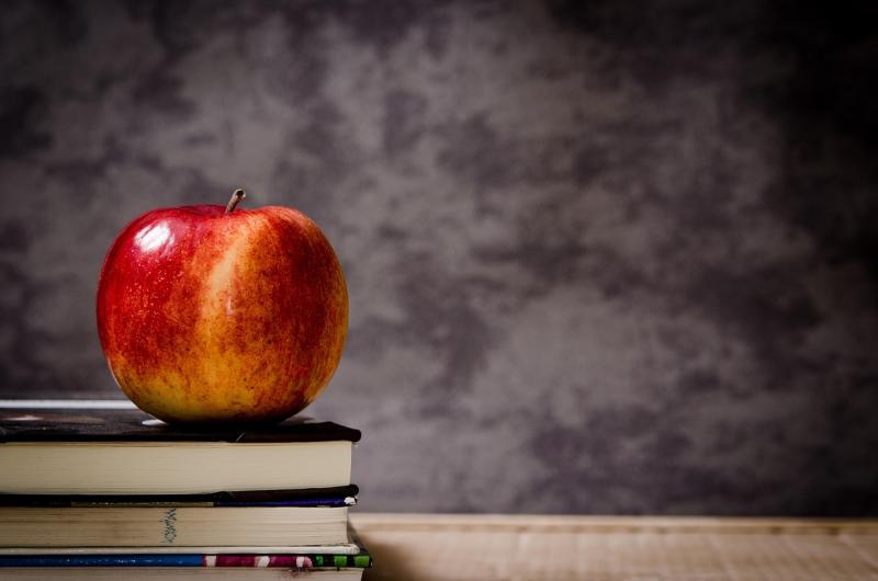Classroom overcrowding is failing children with additional needs – Kildare South TD