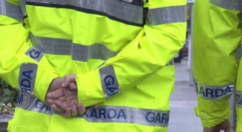 Kildare garda&iacute; investigating following theft from commercial premises in Leixlip
