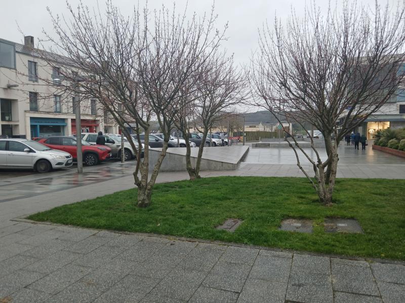 The dramatic flooding of valleys on Kildare/Wicklow border is recalled in a special event