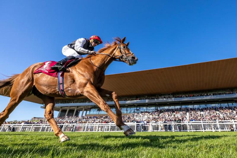 The Curragh Racecourse is hosting Day 2 of The Irish Champions Festival on Sunday, 14th September 2025.