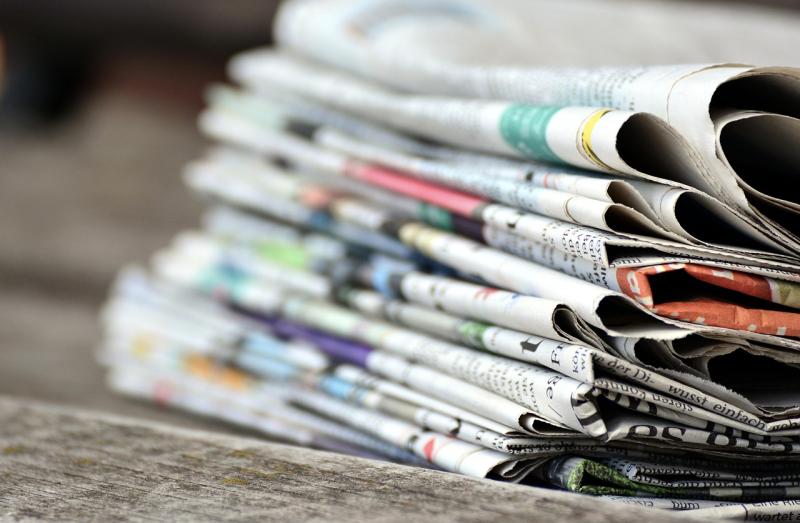 URGENT: Kildare Wildlife Rescue releases newspaper appeal