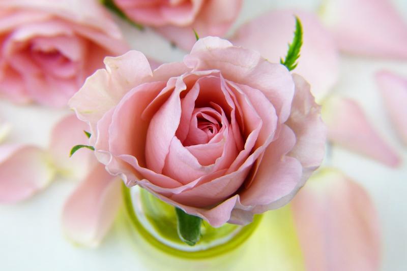 Kildare Death Notices for today: Thursday, September 4 2025