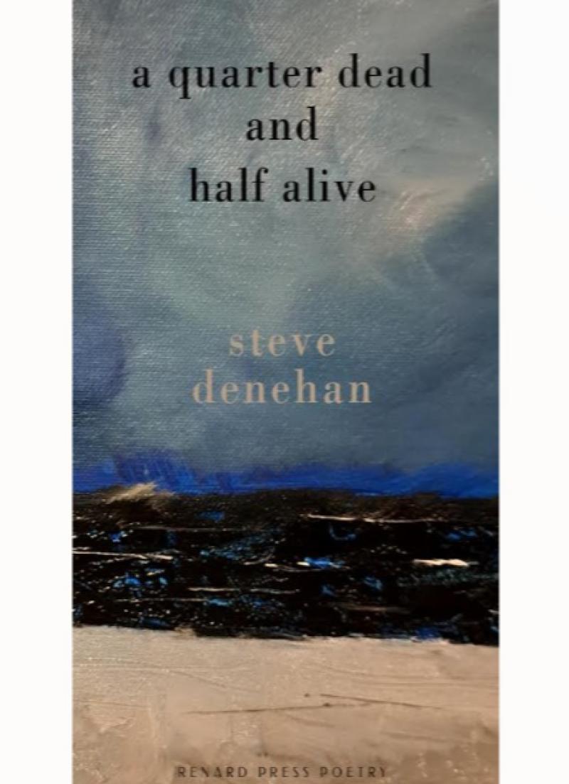 Kildare poet releases his seventh book