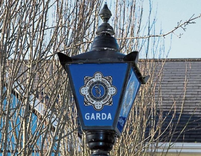 Theft from a car leads to Kildare garda investigation
