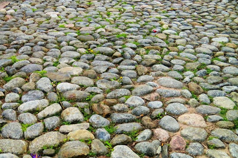 Concerns raised as cobbled area in Kildare ‘looks like a garden’