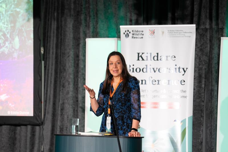 Kildare County Council Announces Kildare Biodiversity Conference 2025