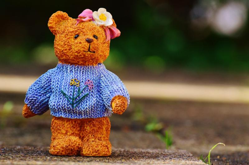 Free Teddy Bear's picnic to take place at Kildare Gaelscoil