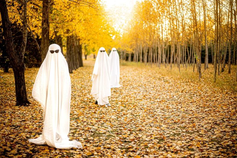 Giving up the ghost: Kildare group issues art appeal aimed at children