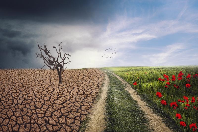 Kildare County Council announces Round 2 of Community Climate Action Programme