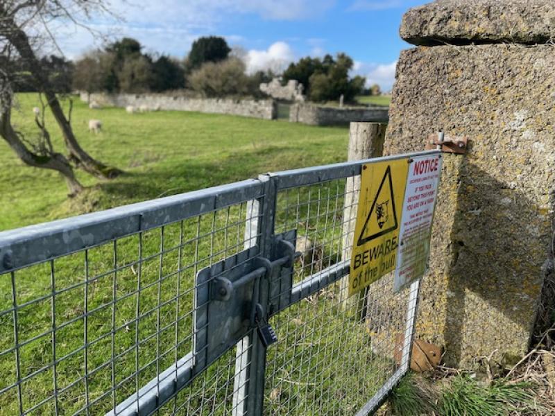 'Disgraceful' - lack of access to this old Kildare graveyard