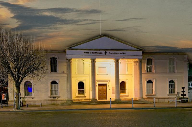 'Took his infant child to house where a pit bull dog was 'running around'  - Kildare court claim