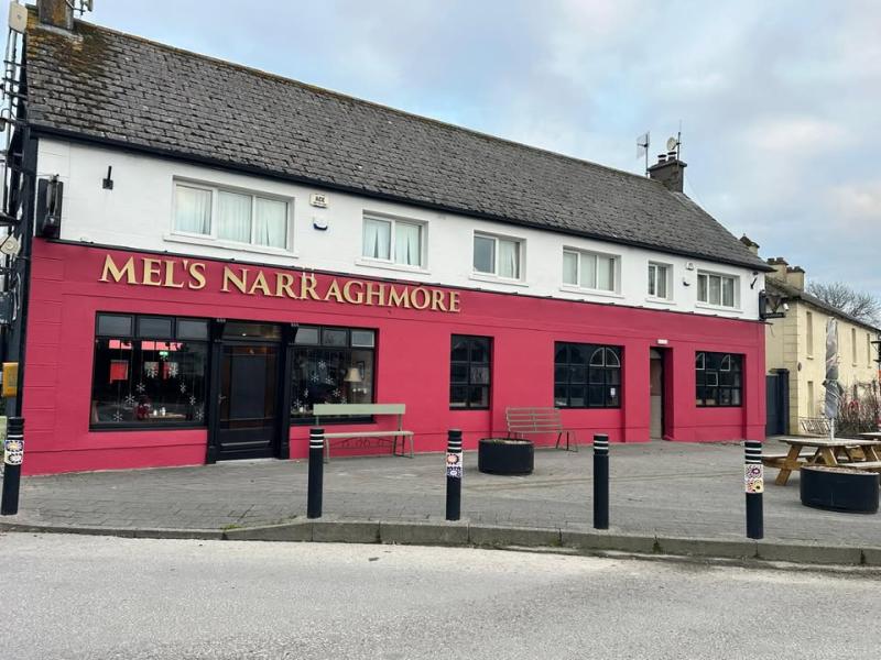 Kildare art and tourism village plans appealed