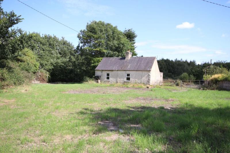 Cheapest in Kildare? Cottage on half acre is 7 mins from M7 or M9