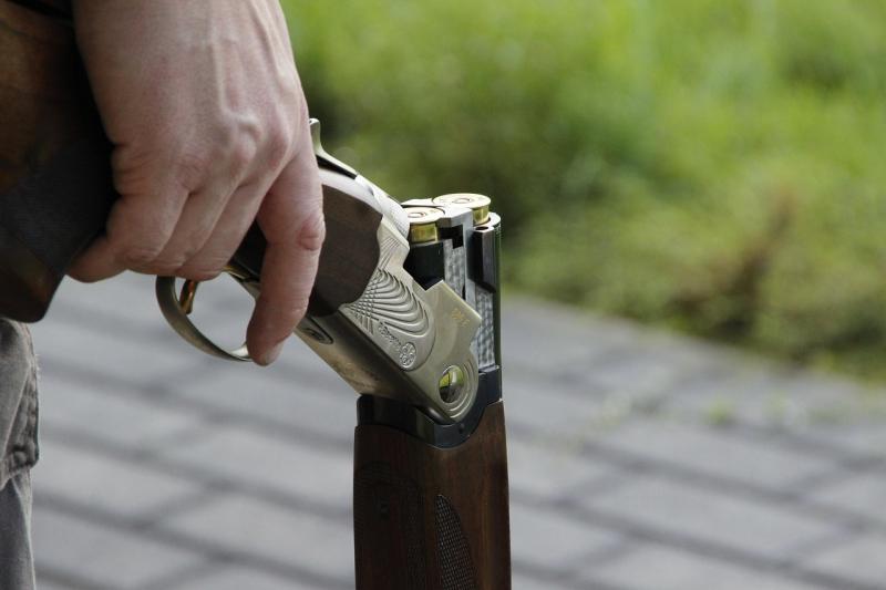 Theft of shotguns from Kildare residence prompts garda investigation