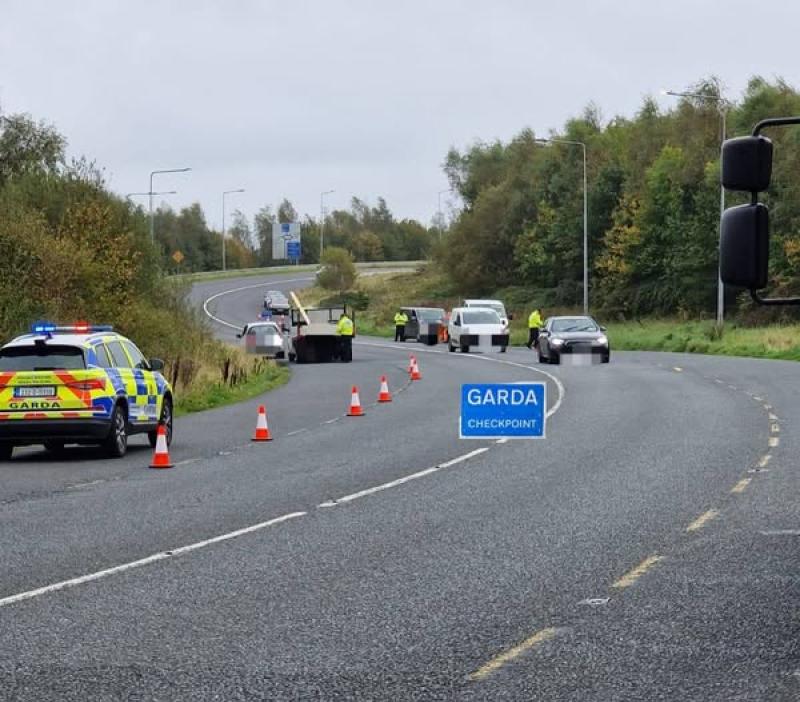 Two motorists stopped at Kildare checkpoint with multiple offences