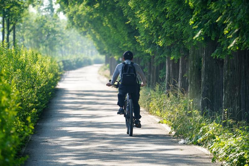 Minister confirms over &euro;16 million funding secured for Active Travel and Greenway projects in Kildare.