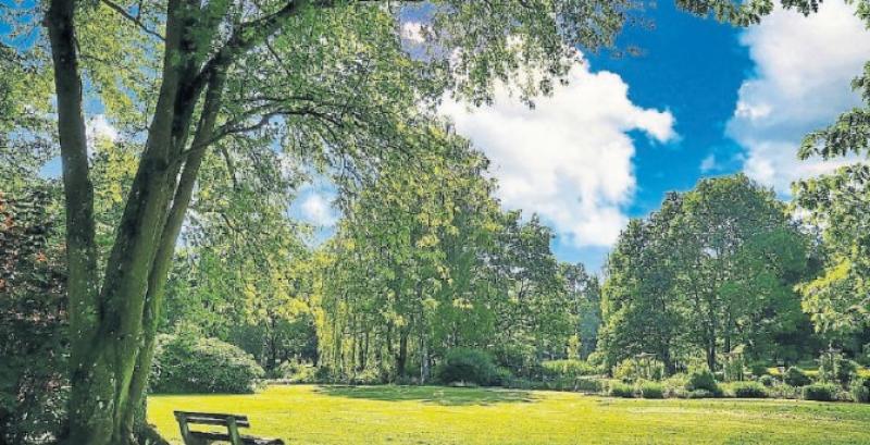 Criticism over lack of toilet facilities at popular park in Kildare