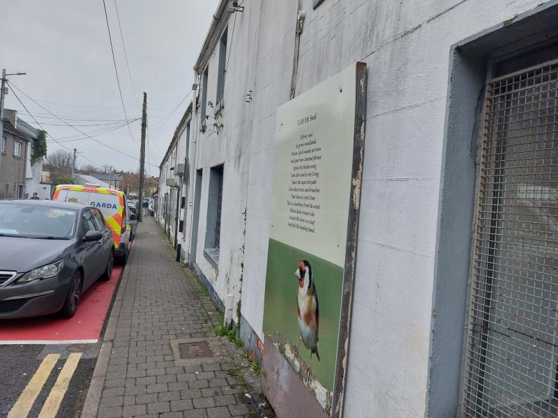 Demolish buildings on this Kildare street to create new homes, council told