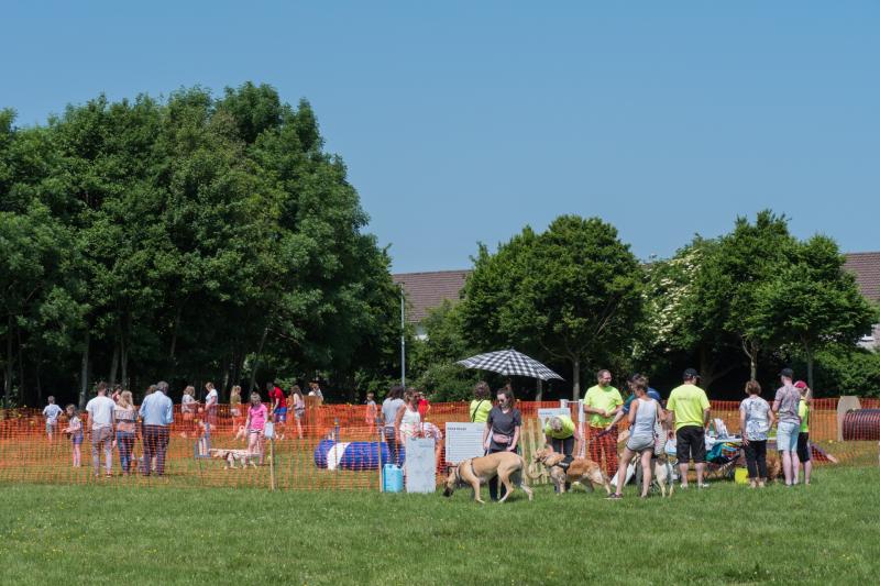 Kildare County Council told it should compel a landowner to sell a site for a dog park