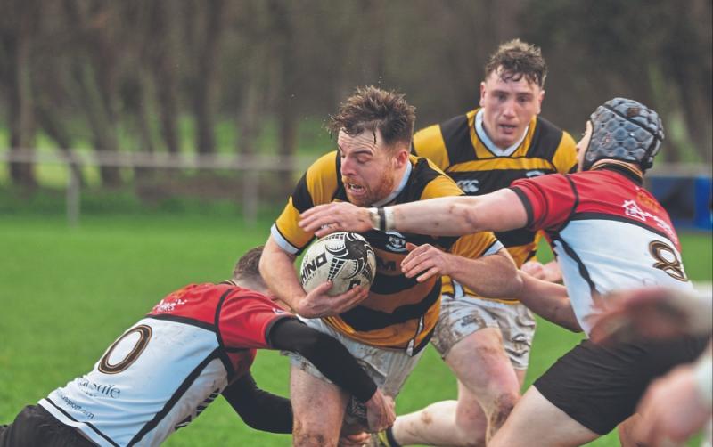 Newbridge RFC march into Towns Cup quarter-finals with Portlaoise win