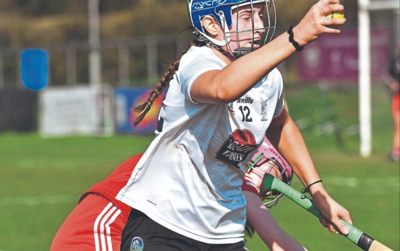 Win over Tyrone not enough to see Kildare advance to camogie league final