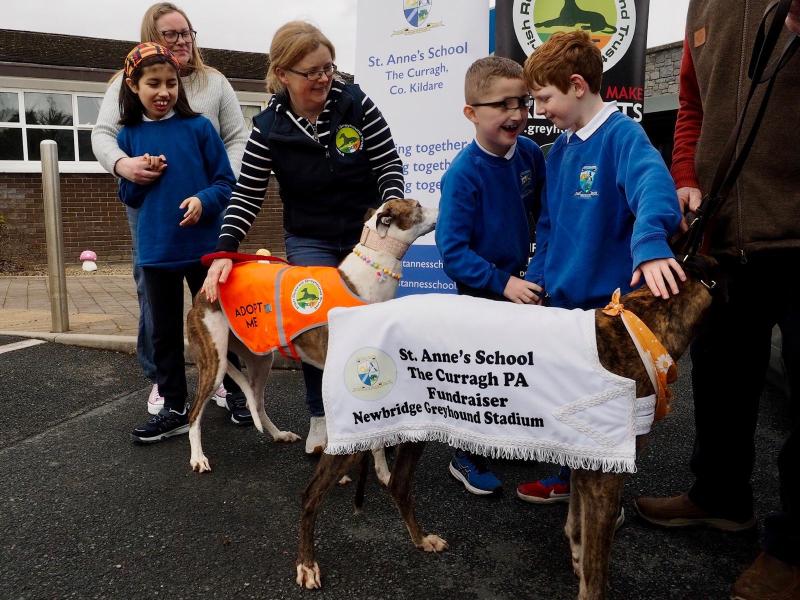 GALLERY: Kildare Special School holds novel fundraiser night