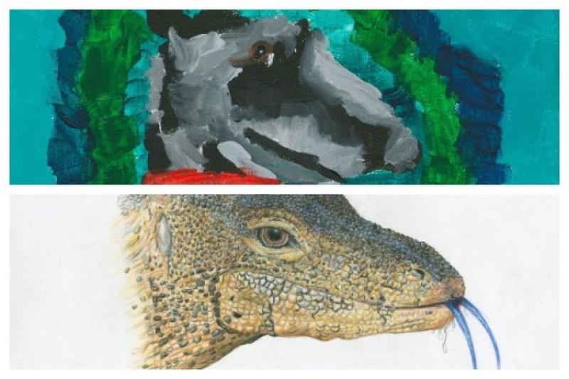 Kildare students win top prize in Texaco Children's Art Competition