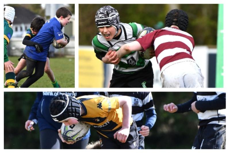 GALLERY: Naas RFC Rugby Blitz in Kildare