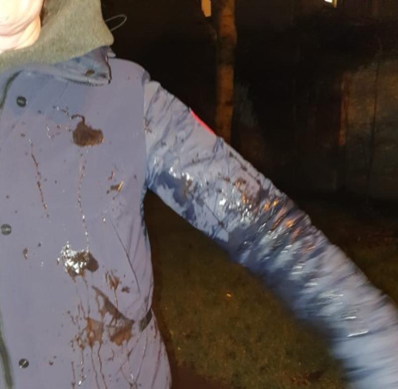 Kildare councillor hits out at men who threw barbecue sauce at his wife and sister-in-law