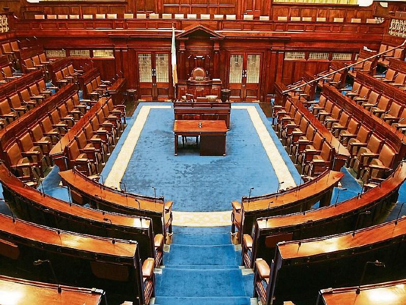Kildare Senator welcomes new agency established to tackle domestic violence and refuge delivery
