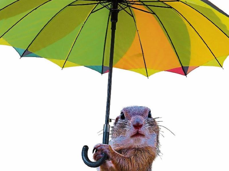 Kildare Weather: Monday, October 25, 2021