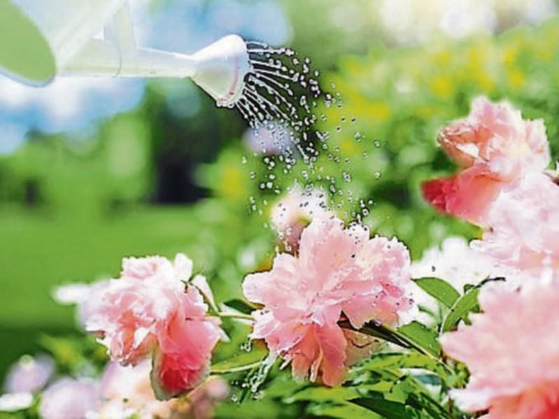 A dry day in store for County Kildare today