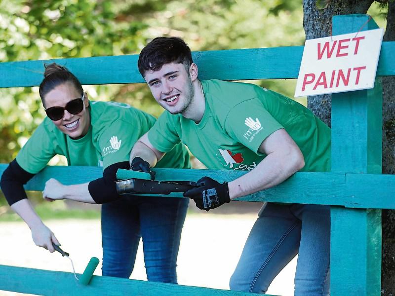 Intel staff help out a Kildare tidy town association