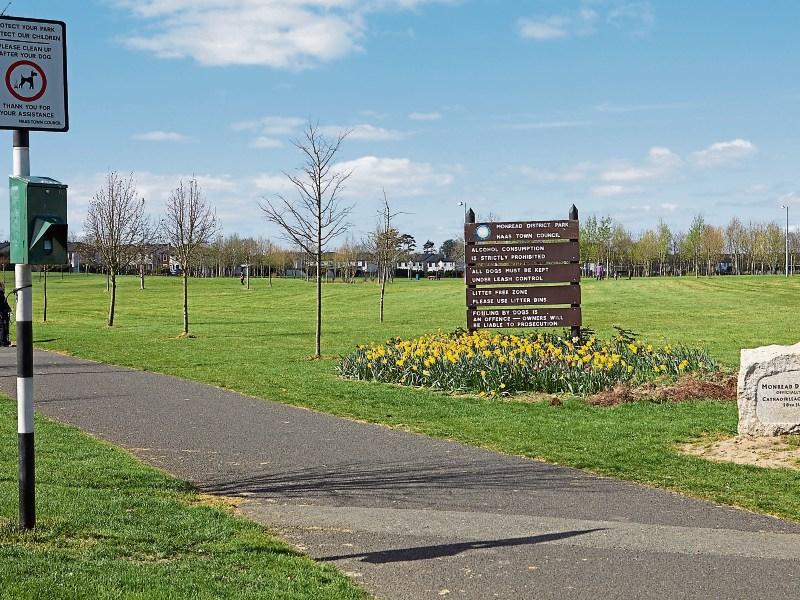 New lights needed to improve safety at Monread Park, Naas