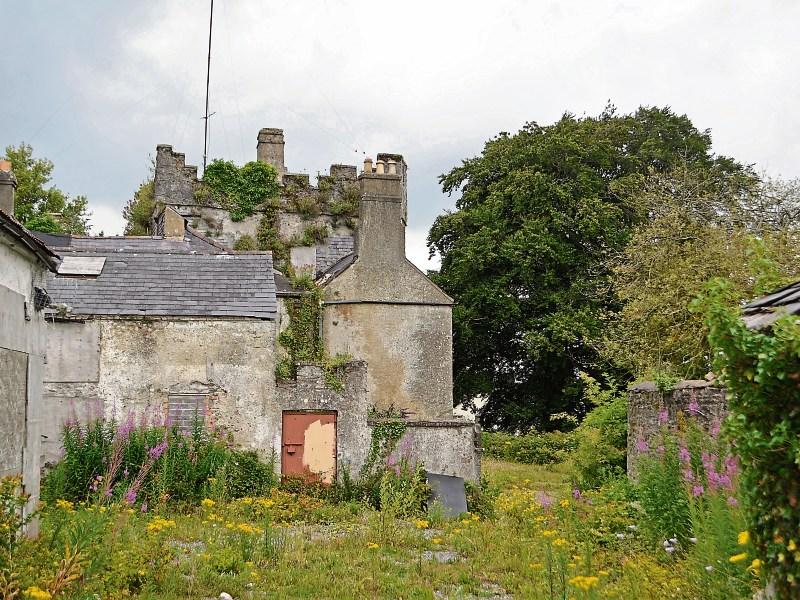 Council asked about future use of ancient Naas castle